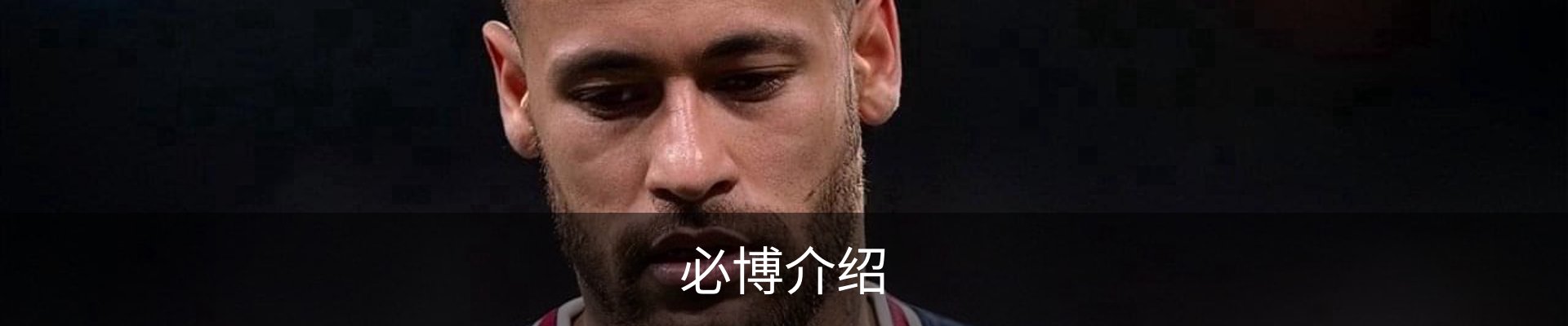 必博介绍